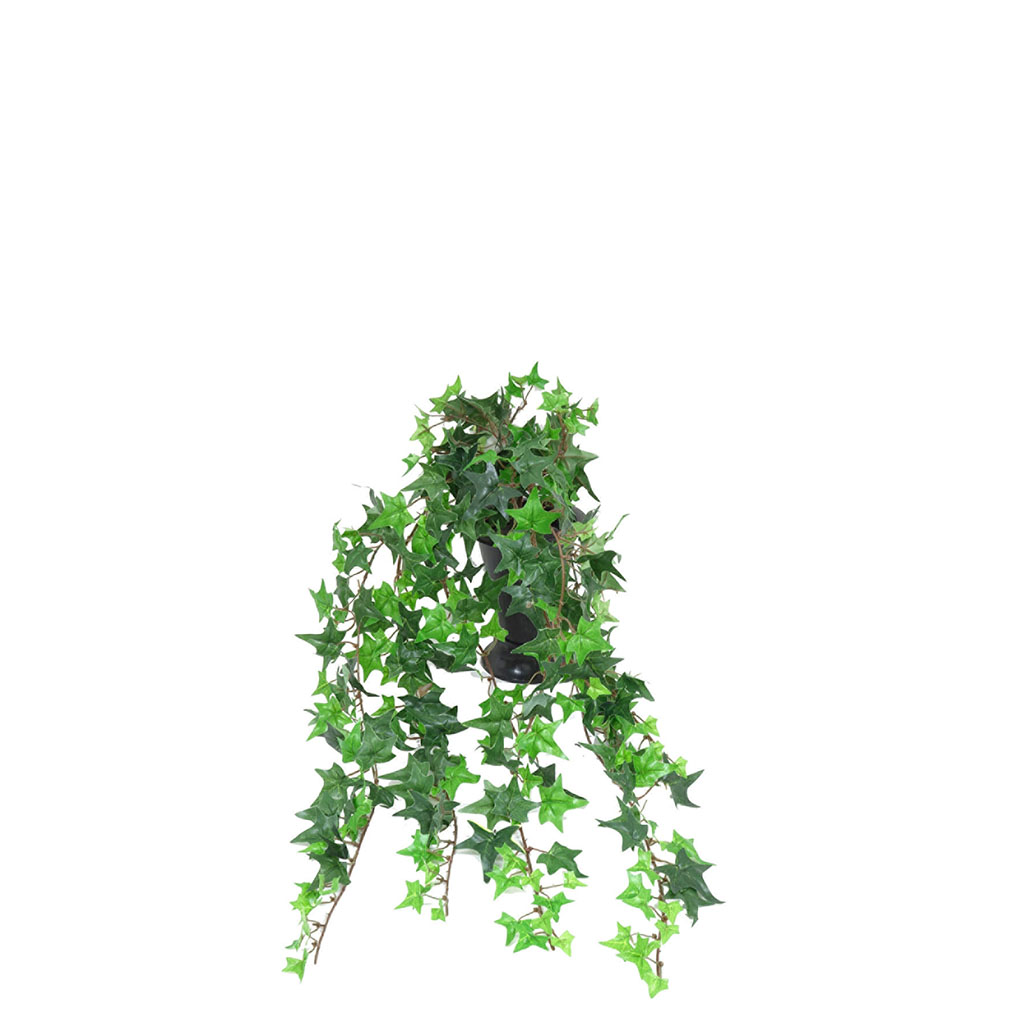Plante artificielle tombante avec pot 16.5x33cm - Centrakor