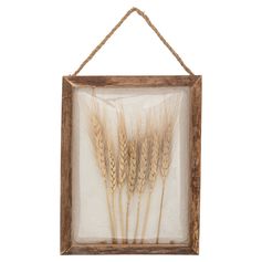 Déco murale bombée JONAS avec blé 20x25cm