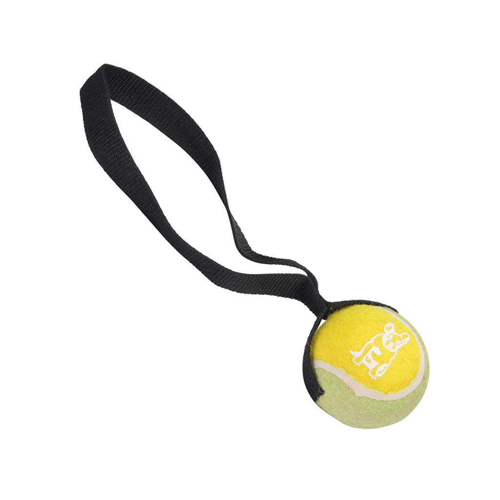 https://www.centrakor.com/media/catalog/product/j/o/jouet-balle-tennis-avec-poignee-chien-222285_222285_FRN01_WEB_1.jpg