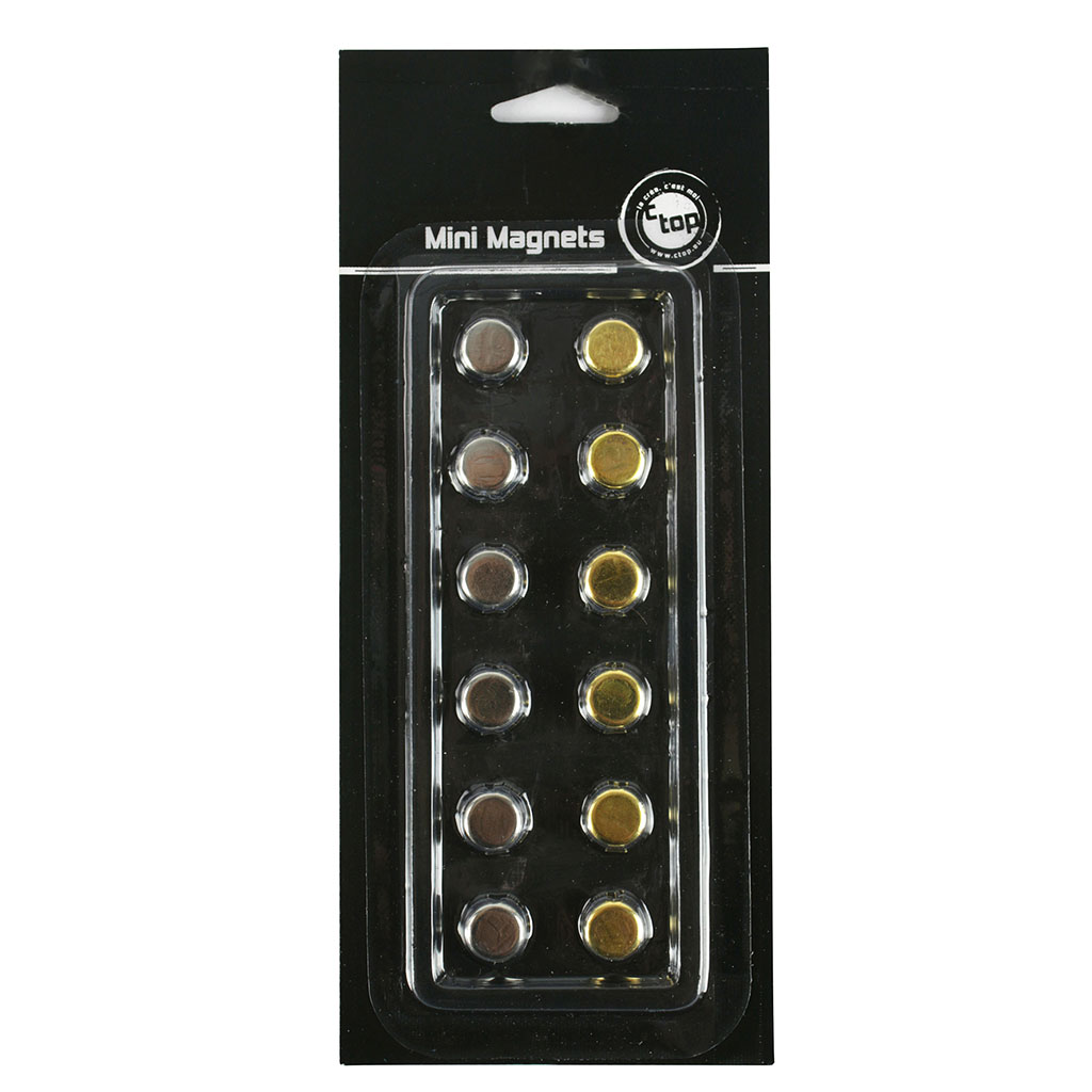 12 en Bois Aimant Frigo Magnet Animaux Sticker Magnétique Refrigi Jou
