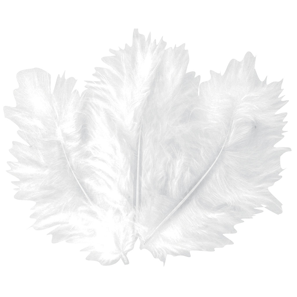 Guirlande de plume blanche 