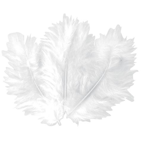 Plume blanche (x20) REF/DEC352 - Cdiscount Maison