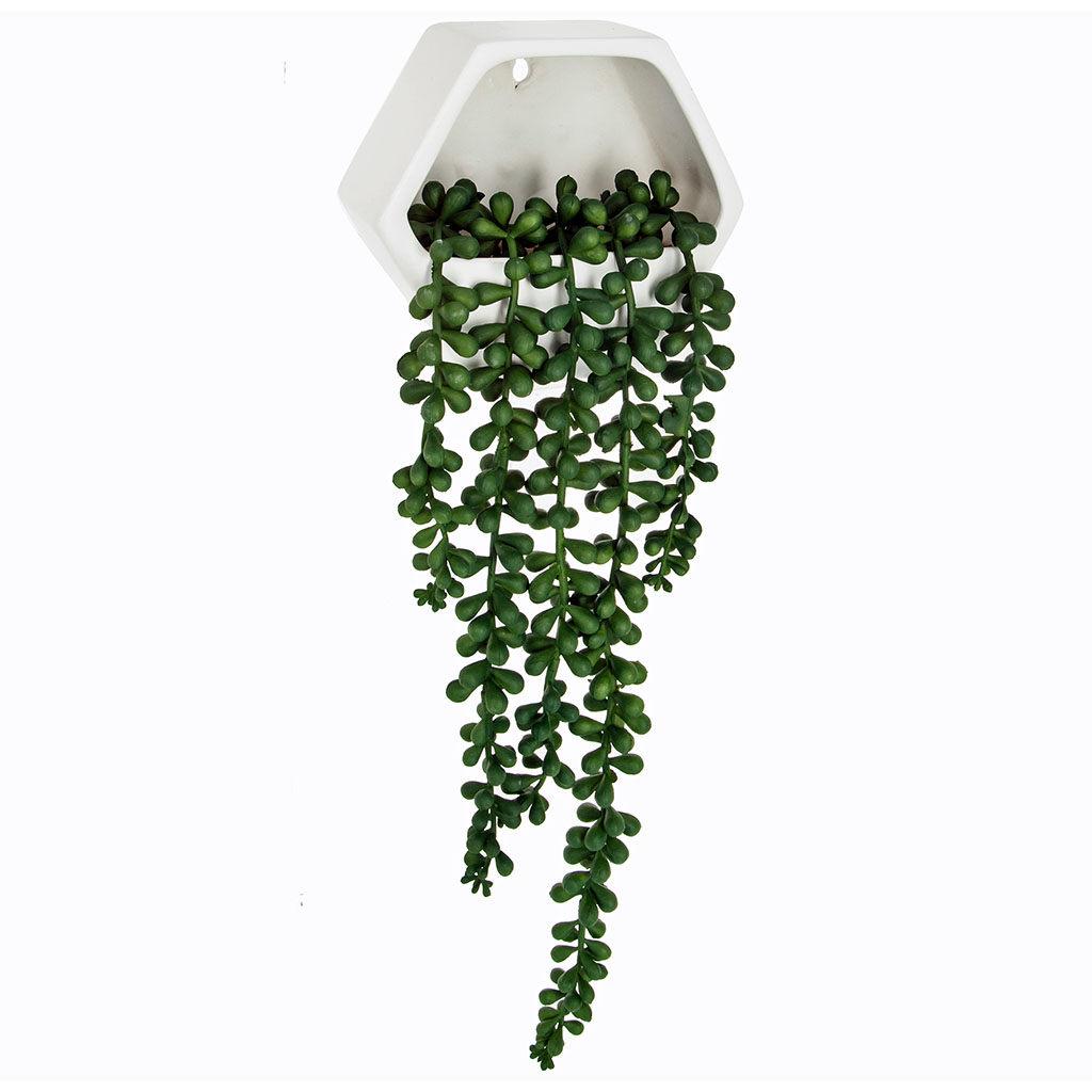 Plante artificielle mural à suspendre en pot céramique H 20cm - Centrakor