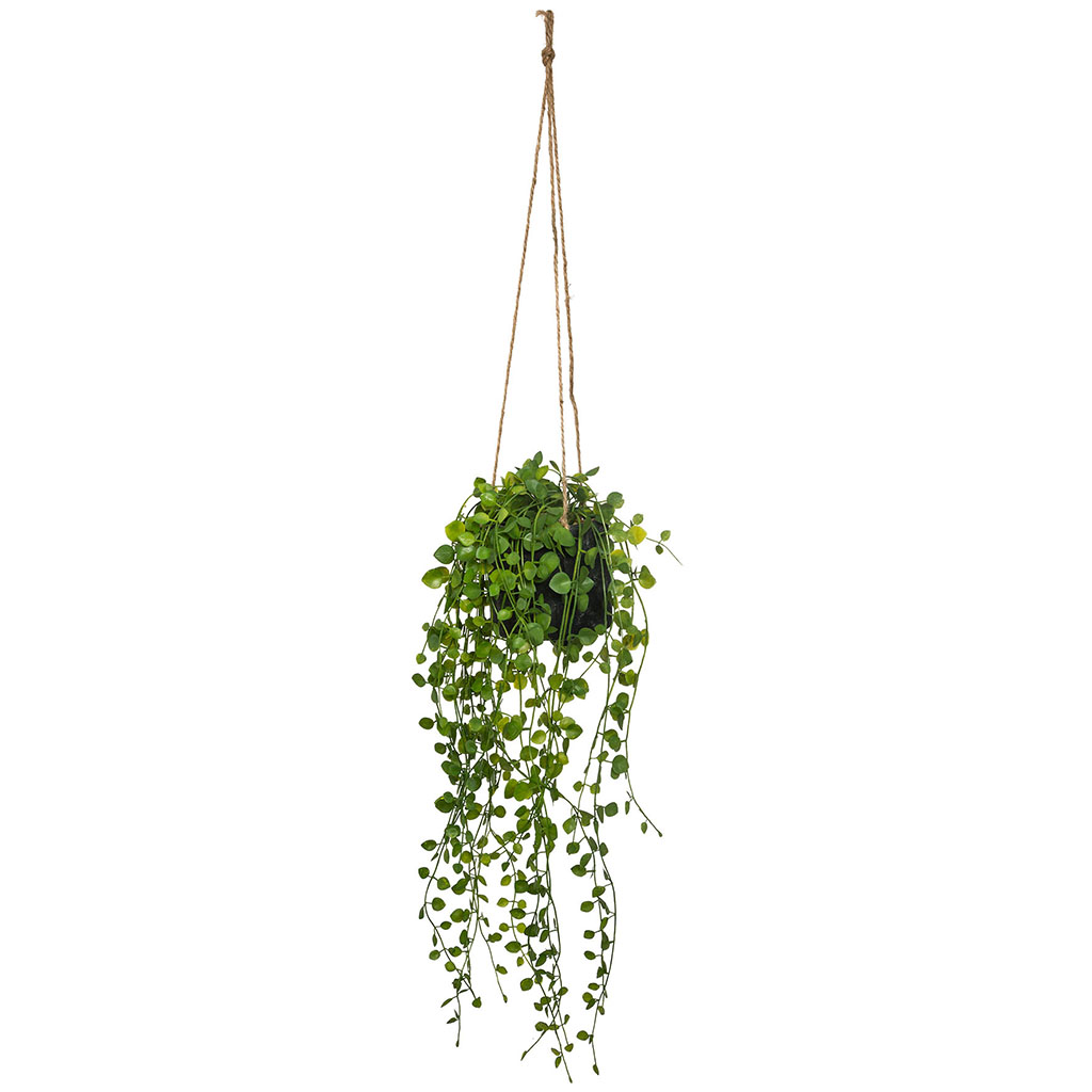 Plante verte artificielle en pot 28x30cm - Centrakor