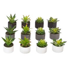 Plante grasse artificielle et pot H 13cm