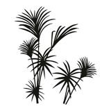 Sticker mural déco palmiers noirs 70x50cm - Centrakor