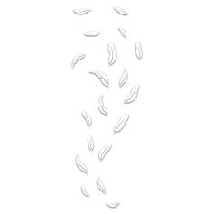 Sticker mural plumes blanches 20x70cm